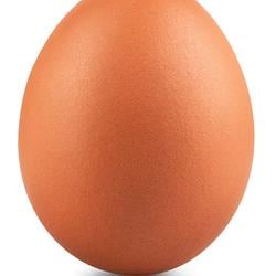 EGG