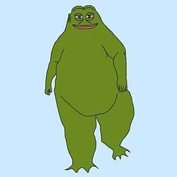 GROYPER / SOL