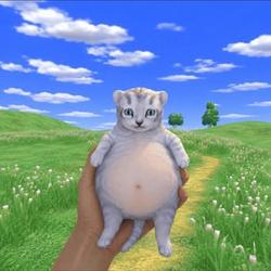 fatcat