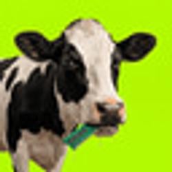MOO / SOL