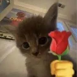 ILoVEyOu
