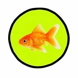 Goldfish