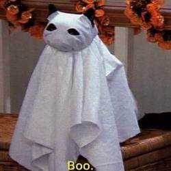 SPOOK