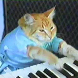 keycat / SOL