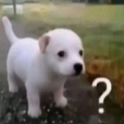 ?