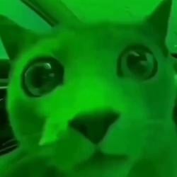PUMPCAT