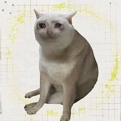 Cashcat