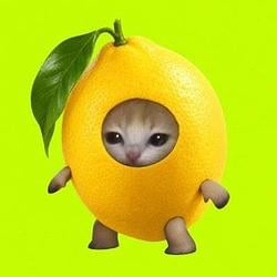 lemon / SOL