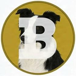 BORDER