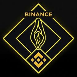 性币 / BNB