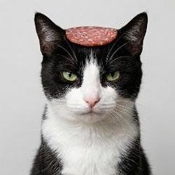 Salami