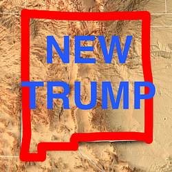 NEWTRUMP / SOL