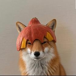 pumpfox
