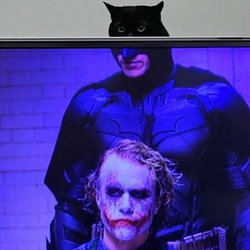 CATMAN
