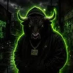 HOODBULL / SOL
