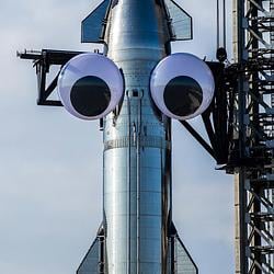 eyes