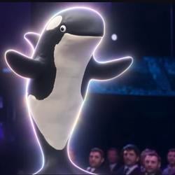 orca