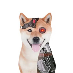 AI / SOL