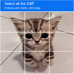 Catcha