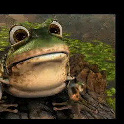 Froggy
