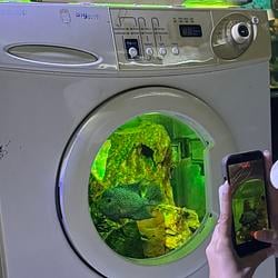 FISHWASHR / SOL