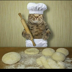 cooks
