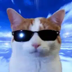 spy