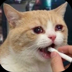 smocat