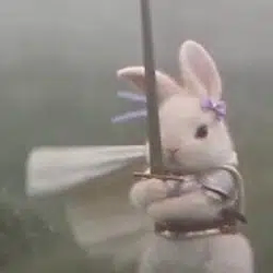 swordbunny