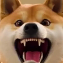 POPDOGE