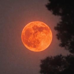 $TMOON / SOL