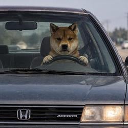Accord