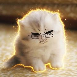 CHUDCAT