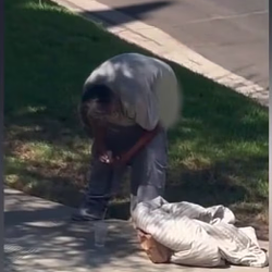 Pooper