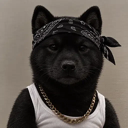 NIGGA INU