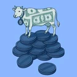 CASHCOW