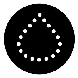 T1DM