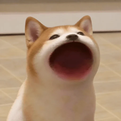 popdog