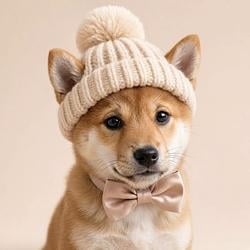 Shib
