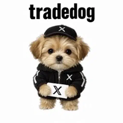 tradedog / SOL