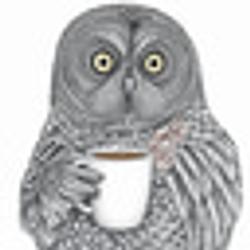 OWLNIGHT