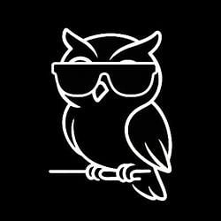 NIGHTOWL