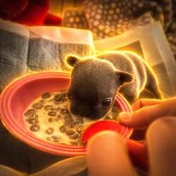 CHEERIO