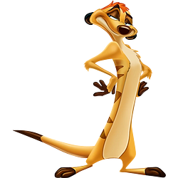 TIMON