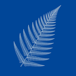 FROND