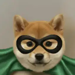 dog / SOL