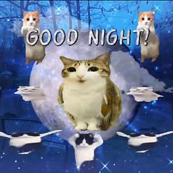 Catbird