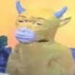 牛来