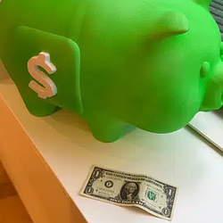 CASHPIG / WETH
