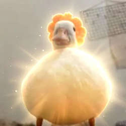 DUCK